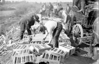 Photo of prohibition smuggling